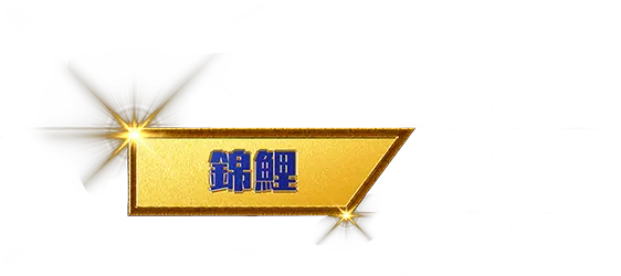錦鯉